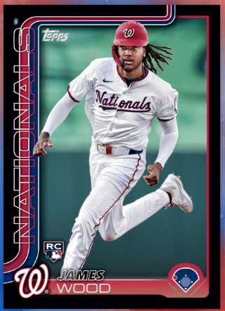 James Wood Black Parallel